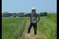 Organic Life in Japan  