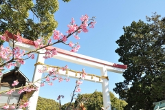 Kamakura