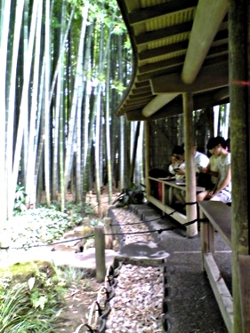 Kamakura Bamboo Garden Macha