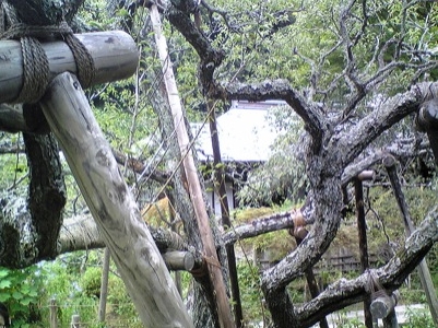 Kamakura Zuisen Temple